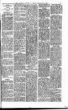 Heywood Advertiser Friday 05 February 1886 Page 3