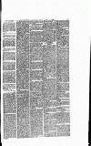 Heywood Advertiser Friday 15 April 1887 Page 5