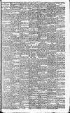 Heywood Advertiser Friday 28 June 1901 Page 7