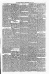 Orkney Herald, and Weekly Advertiser and Gazette for the Orkney & Zetland Islands Wednesday 03 July 1889 Page 7