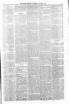 Orkney Herald, and Weekly Advertiser and Gazette for the Orkney & Zetland Islands Wednesday 01 March 1893 Page 7