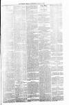 Orkney Herald, and Weekly Advertiser and Gazette for the Orkney & Zetland Islands Wednesday 15 March 1893 Page 5