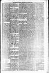 Orkney Herald, and Weekly Advertiser and Gazette for the Orkney & Zetland Islands Wednesday 07 November 1894 Page 5