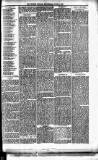 Orkney Herald, and Weekly Advertiser and Gazette for the Orkney & Zetland Islands Wednesday 17 June 1896 Page 7