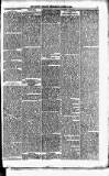 Orkney Herald, and Weekly Advertiser and Gazette for the Orkney & Zetland Islands Wednesday 05 August 1896 Page 7