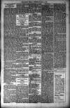 Orkney Herald, and Weekly Advertiser and Gazette for the Orkney & Zetland Islands Wednesday 11 July 1900 Page 5