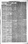 Orkney Herald, and Weekly Advertiser and Gazette for the Orkney & Zetland Islands Wednesday 01 August 1900 Page 7