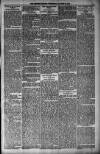 Orkney Herald, and Weekly Advertiser and Gazette for the Orkney & Zetland Islands Wednesday 22 August 1900 Page 7