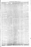 Orkney Herald, and Weekly Advertiser and Gazette for the Orkney & Zetland Islands Wednesday 05 June 1901 Page 5