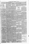 Orkney Herald, and Weekly Advertiser and Gazette for the Orkney & Zetland Islands Wednesday 05 June 1901 Page 7