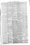 Orkney Herald, and Weekly Advertiser and Gazette for the Orkney & Zetland Islands Wednesday 07 May 1902 Page 5