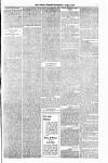 Orkney Herald, and Weekly Advertiser and Gazette for the Orkney & Zetland Islands Wednesday 08 April 1903 Page 7