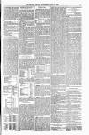 Orkney Herald, and Weekly Advertiser and Gazette for the Orkney & Zetland Islands Wednesday 17 June 1903 Page 5