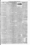 Orkney Herald, and Weekly Advertiser and Gazette for the Orkney & Zetland Islands Wednesday 12 April 1905 Page 7