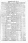 Orkney Herald, and Weekly Advertiser and Gazette for the Orkney & Zetland Islands Wednesday 04 April 1906 Page 5