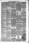 Orkney Herald, and Weekly Advertiser and Gazette for the Orkney & Zetland Islands Wednesday 06 July 1910 Page 5