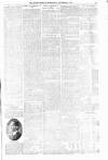 Orkney Herald, and Weekly Advertiser and Gazette for the Orkney & Zetland Islands Wednesday 04 September 1912 Page 5