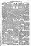 Orkney Herald, and Weekly Advertiser and Gazette for the Orkney & Zetland Islands Wednesday 19 April 1916 Page 5