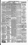 Orkney Herald, and Weekly Advertiser and Gazette for the Orkney & Zetland Islands Wednesday 23 April 1919 Page 3