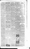 Orkney Herald, and Weekly Advertiser and Gazette for the Orkney & Zetland Islands Wednesday 31 August 1921 Page 7