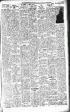 Orkney Herald, and Weekly Advertiser and Gazette for the Orkney & Zetland Islands Wednesday 15 July 1925 Page 5