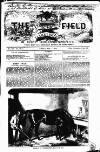 Field Saturday 01 April 1854 Page 1