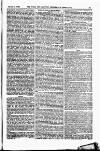 Field Saturday 22 March 1873 Page 19