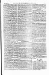 Field Saturday 21 February 1874 Page 13
