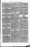 Field Saturday 11 December 1875 Page 30
