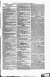 Field Saturday 29 January 1876 Page 19