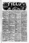 Field Saturday 10 August 1878 Page 1