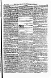 Field Saturday 11 January 1879 Page 19