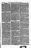 Field Saturday 13 November 1880 Page 37