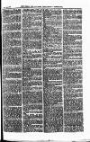 Field Saturday 29 January 1881 Page 3
