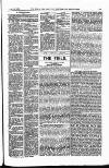 Field Saturday 13 August 1881 Page 17