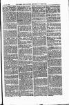 Field Saturday 27 August 1881 Page 3