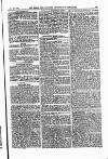 Field Saturday 22 October 1881 Page 33