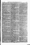 Field Saturday 31 January 1885 Page 31