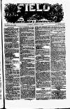 Field Saturday 17 March 1888 Page 1