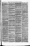 Field Saturday 14 July 1888 Page 3