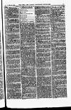 Field Saturday 24 November 1888 Page 3