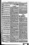 Field Saturday 12 January 1889 Page 41