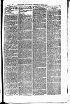 Field Saturday 13 January 1894 Page 3