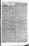 Field Saturday 26 January 1895 Page 3
