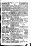 Field Saturday 19 October 1895 Page 41