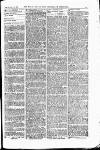 Field Saturday 17 October 1896 Page 5