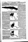 Field Saturday 19 March 1898 Page 51