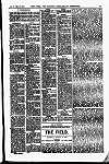Field Saturday 21 January 1899 Page 19
