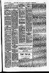 Field Saturday 28 January 1899 Page 19
