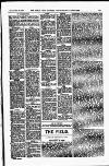 Field Saturday 18 February 1899 Page 19